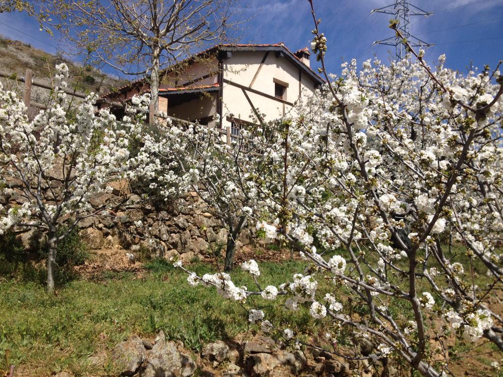 Ferienwohnung El Cerrillo Navaconcejo Exterior foto